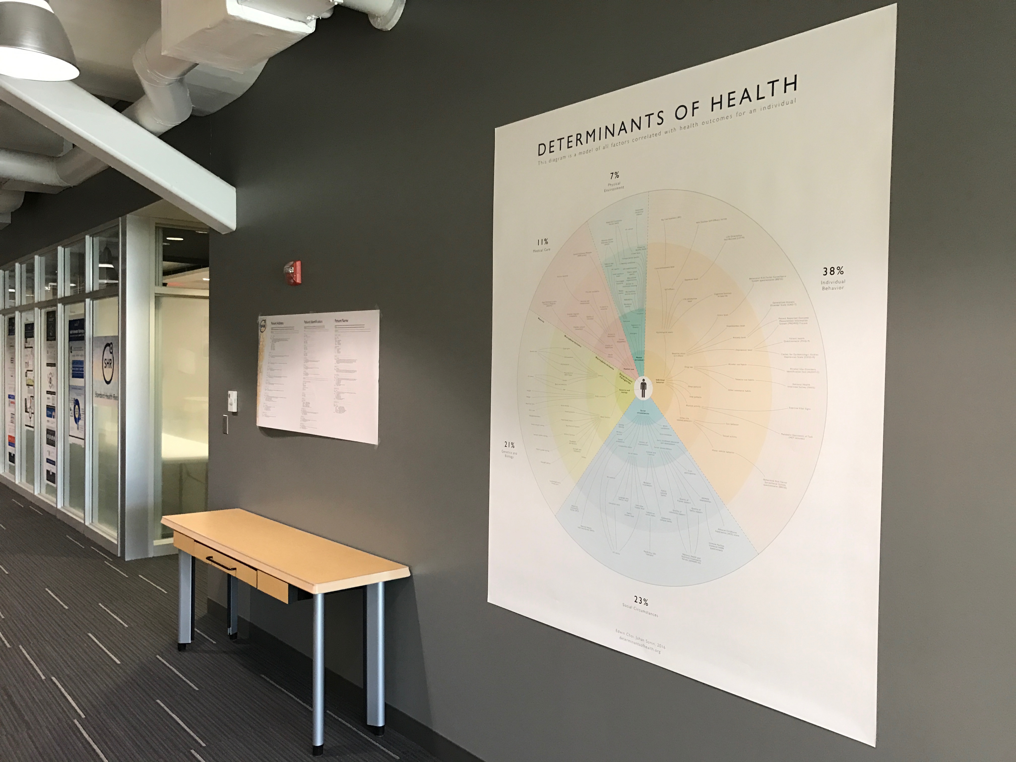 Determinants of Health Poster